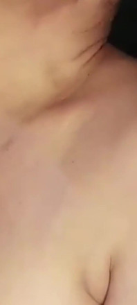 모든 내부