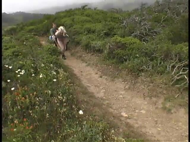 Hogtied by Kink: Cowgirl