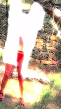 The Search for a Sexual Ghost