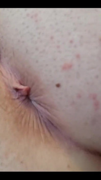 Cheeky Starfish Wink untuk Awak Semua