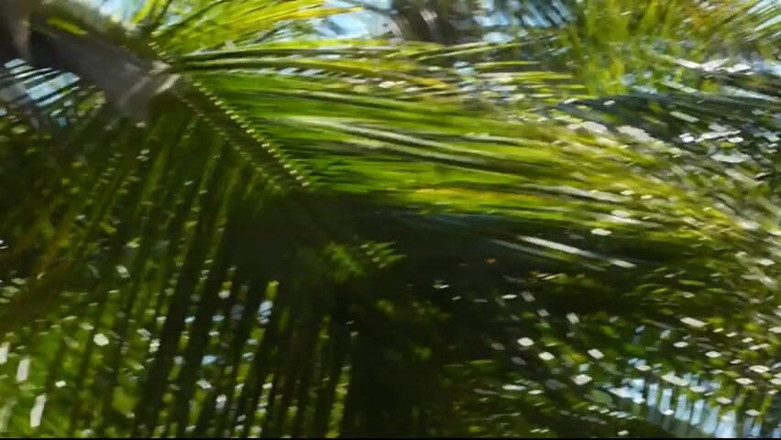 Watch4beauty: Piscina de furos