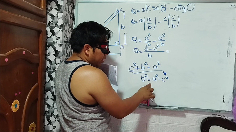 Rosaroja: Trigonometrie: trigonometrische verhoudingen - oefening 1