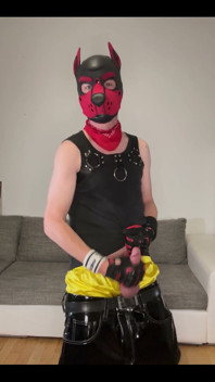 Horny Doggo!