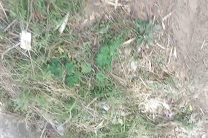 Gangbang straight: 业余的 Outdoot 单人撒尿 2