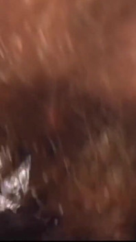Vintage Hairy Girl Interracial
