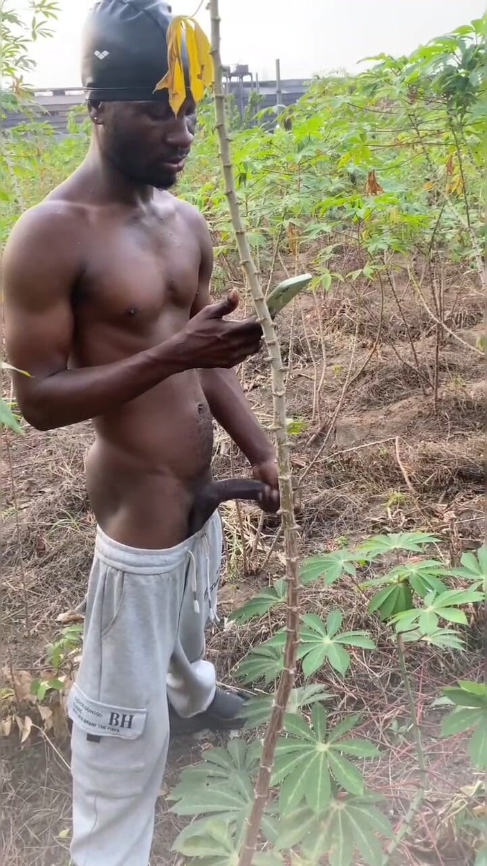 Chief_daddyy: गोमोरा के राजा अपने थुगिश प्रेमी को छुटकारा प्रदान कर रहे हैं।