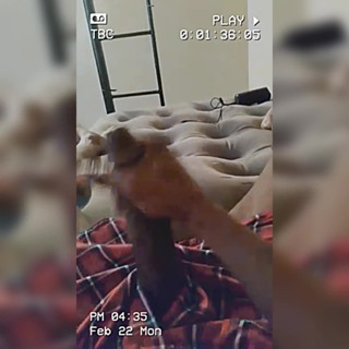 Prettyboy J: Mit palmala spielen