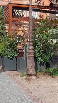 सुंदर सुनहरे बालों वाली शौकिया पत्नी चलने के बाद सेक्स का आनंद लेती है