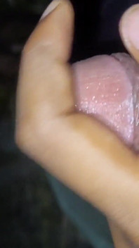 Desi Boy Masterbating Alone