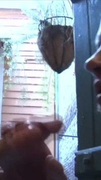 Enjoy This Amazing French Porn Amator Bareback with Dudes so Sexy
