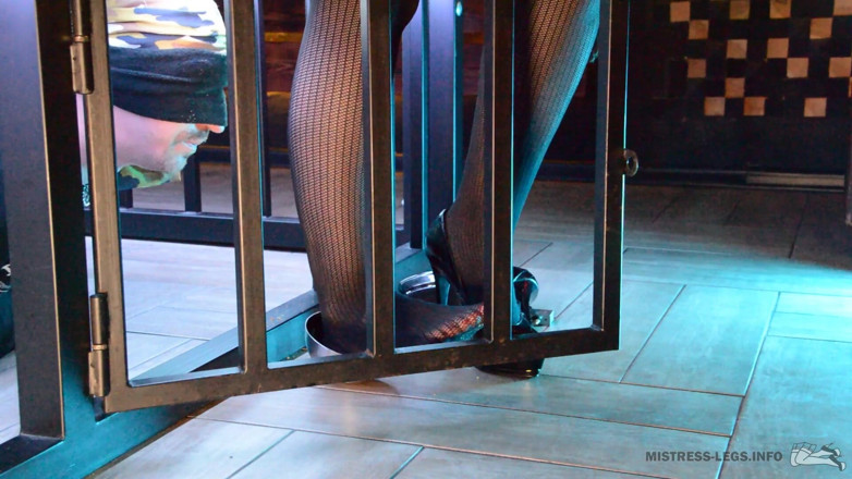 Mistress Legs: La padrona di dominazione femminile nutre lo schiavo con i...