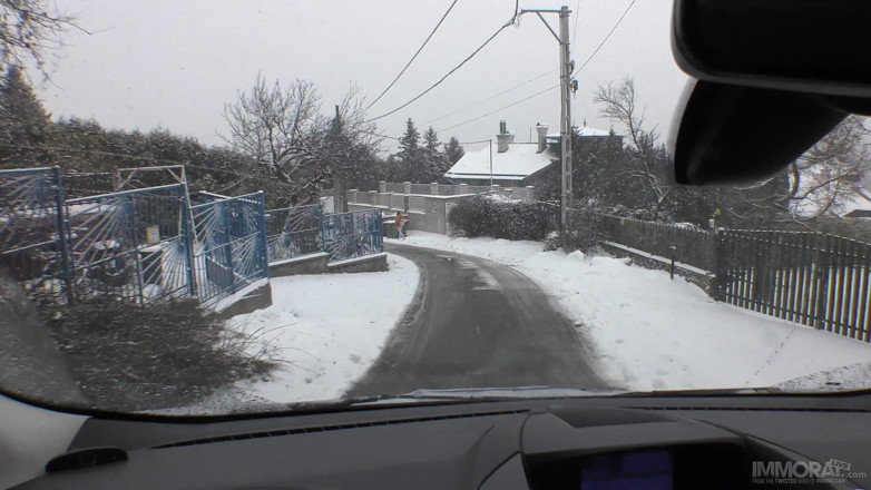 Immoral Live: Carly Rae Summers, redhead with hairy pussy gets a creampie...