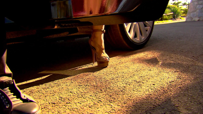 MMV Films and Clips XXX: Blonďatá kočička Aleska Diamond Libra u bazénu od Christof Clark