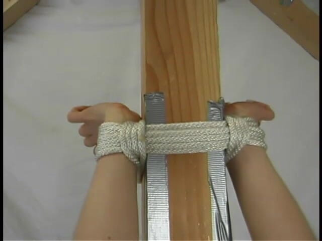 Hogtied by Kink: Rosetta
