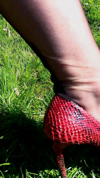 Sunny Day, bas nylon noirs et mon humeur perverse : partie 1
