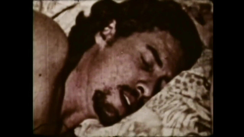 Vintage Usa: 他に類を見ない喜び