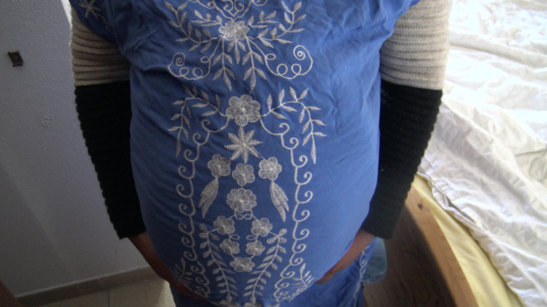 Souzan Halabi: O musulmană însărcinată vrea sex în Londra