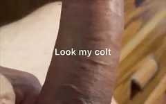 This Cock Loves Attention From Males