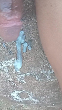 Busting a Nut Out at the Park