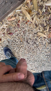 Peeing in the Garden