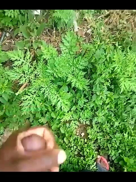 Haydenbbc: Haydenbbc