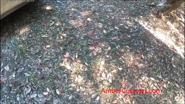 Amber Connors: おしっこ楽しい