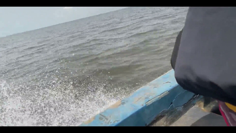 King Sasha's hub: Eine Reise durch das Meer