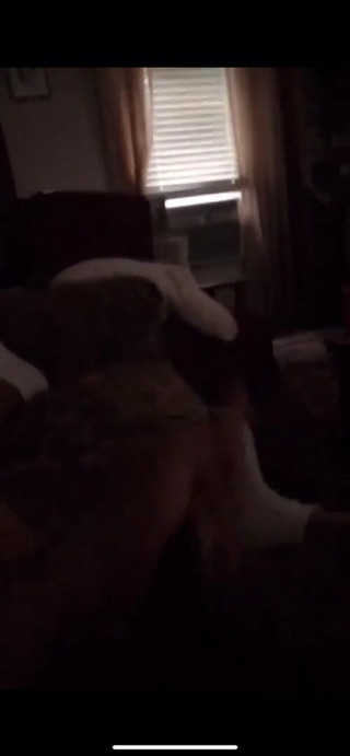 Takeit4daddy: Stroking My Dick Should I Make More Videos?