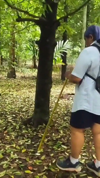 House Wife on Vacation, Walking Naked in Jungle. Exposing Her Sexy Ass and Bigg Boobs