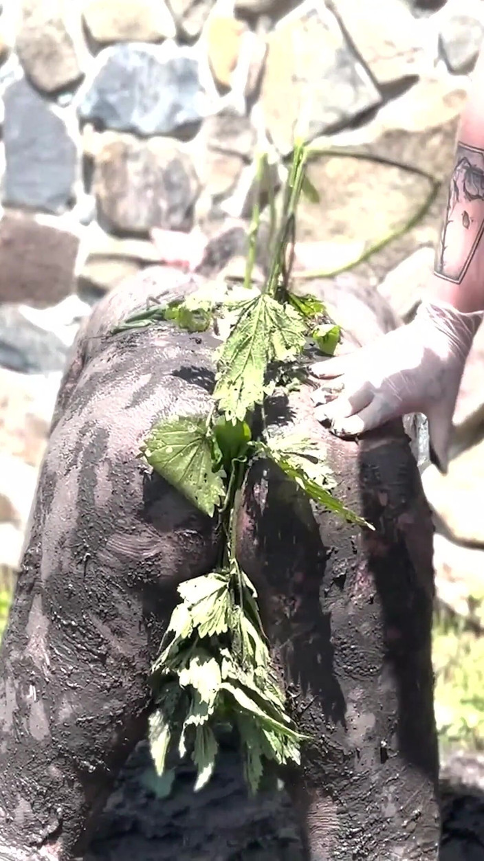 Sadic Sadie: Piggy Humiliation in Mud, Playing with Nettles and Licking Our...