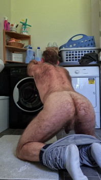 Hairy Bear Doing Laundry
