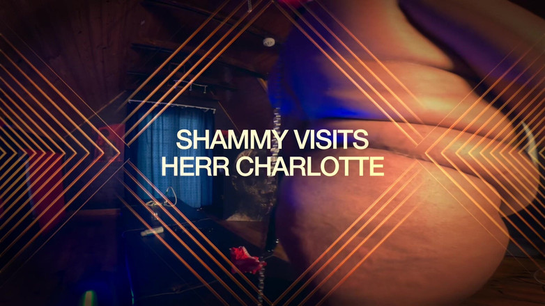 Herr Charlotte - wisdom of desire: Shammy's Расчитывает урок в большом члене и больших сиськах - часть 8