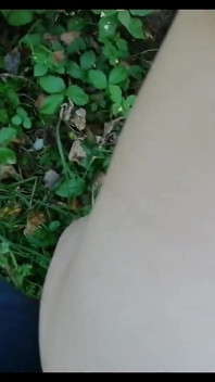 Lesní nymfa