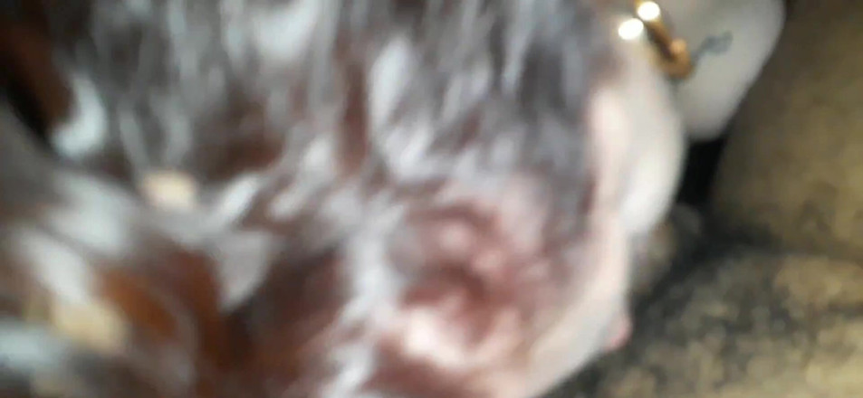 SashaSqiurts: Pipe coquine