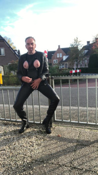 Horny Sitting on a Fence Along the Road
