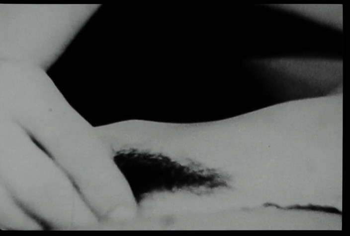 Close Encounter Vintage: Vintage - bioskop erotis jadul - roxanne
