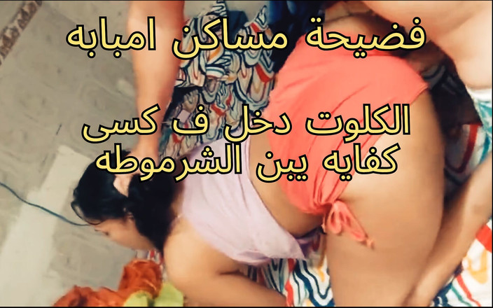 Egyptian taboo clan: Mısır bir fahişe, şafakta, ah, yemin ederim, Ahmed