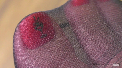 Mistress Legs: Just nylon toes and soles closeups