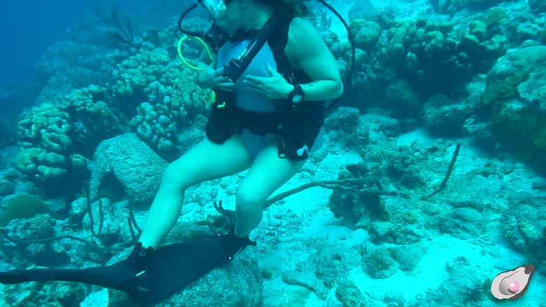 Mistress Pink Pearl: Tempo sozinho em Bonaire