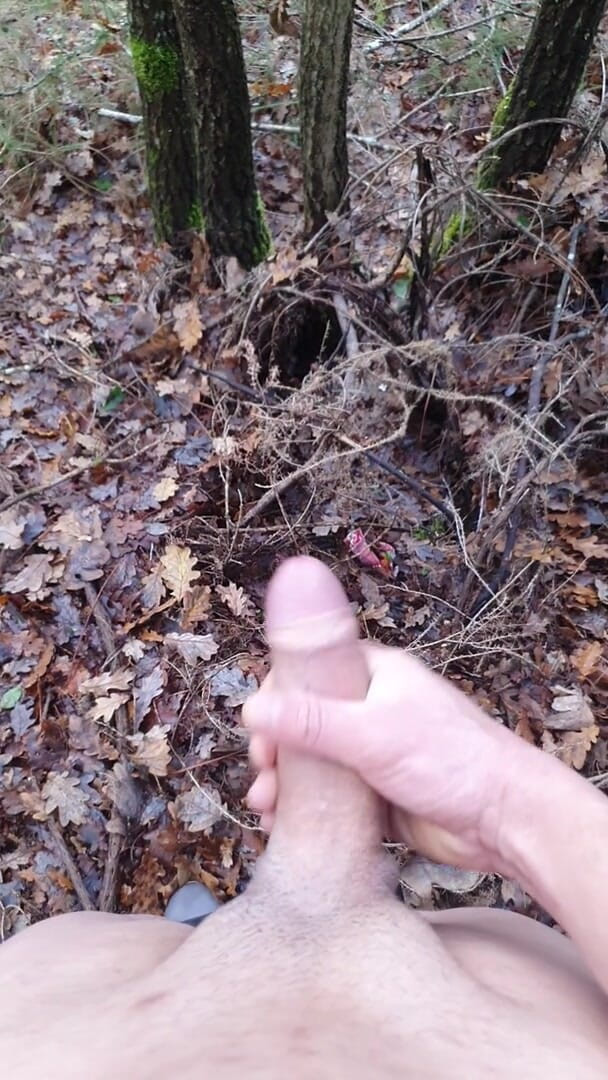 Timmyboy: Timmyboy I Went for a Run in the Woods and...