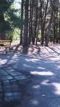 Petite Teen Gets Risky Outdoor Anal in the Park - Almost Caught!