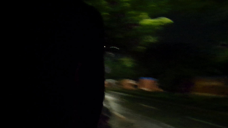 Indianexhib: 道路上のインディアンガイヌード