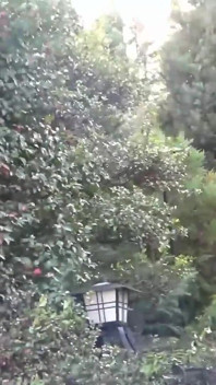 Hot Spring With Big Tit Married Woman. Part3