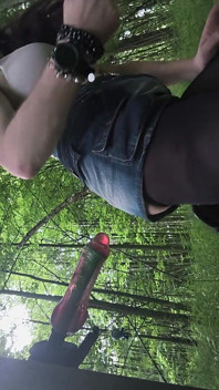 I Went to the Forest to Get a Tree