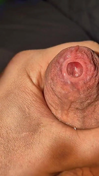 Papis enge vorhaut wurde gedehnt und auslaufende precum