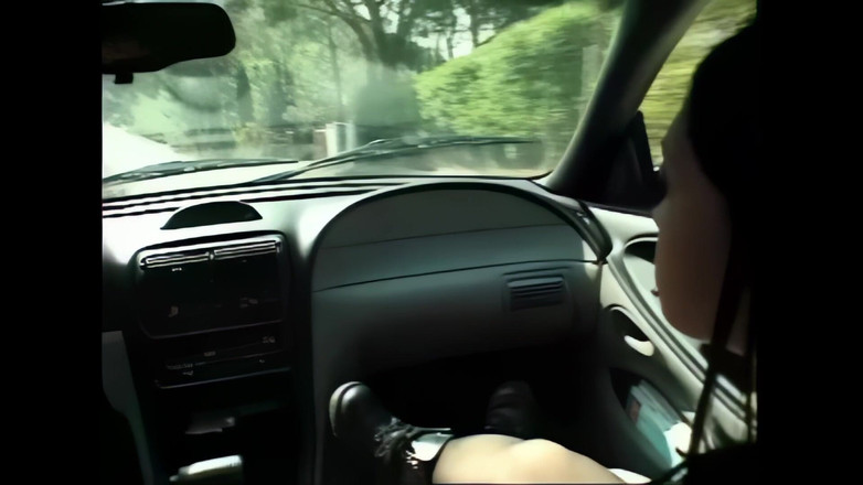 Bizzarre World: Test s Malou liškou