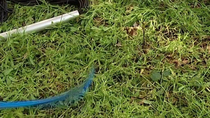 BDSM Deutschland: 라텍스 여주인 BDSM 제출 유혹