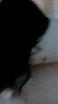 My Little Slut Blowjob