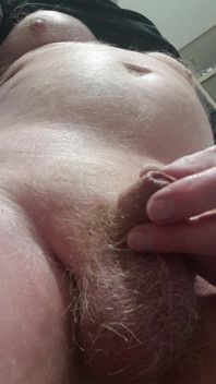 My Tiny Dick Show