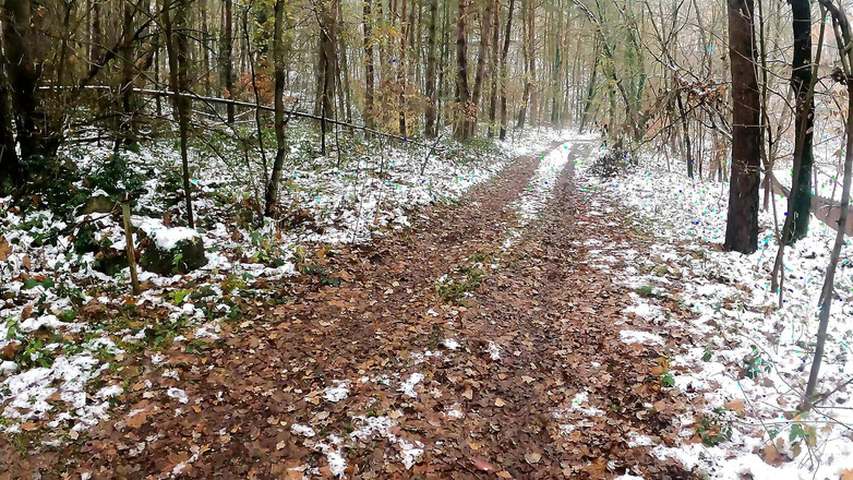 Bouncy Tits Action: 눈 속에서 하이킹하는 동안 그녀의 젖탱이를 박살낸다